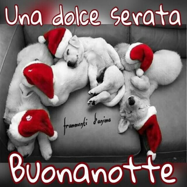 Una dolce serata Buonanotte