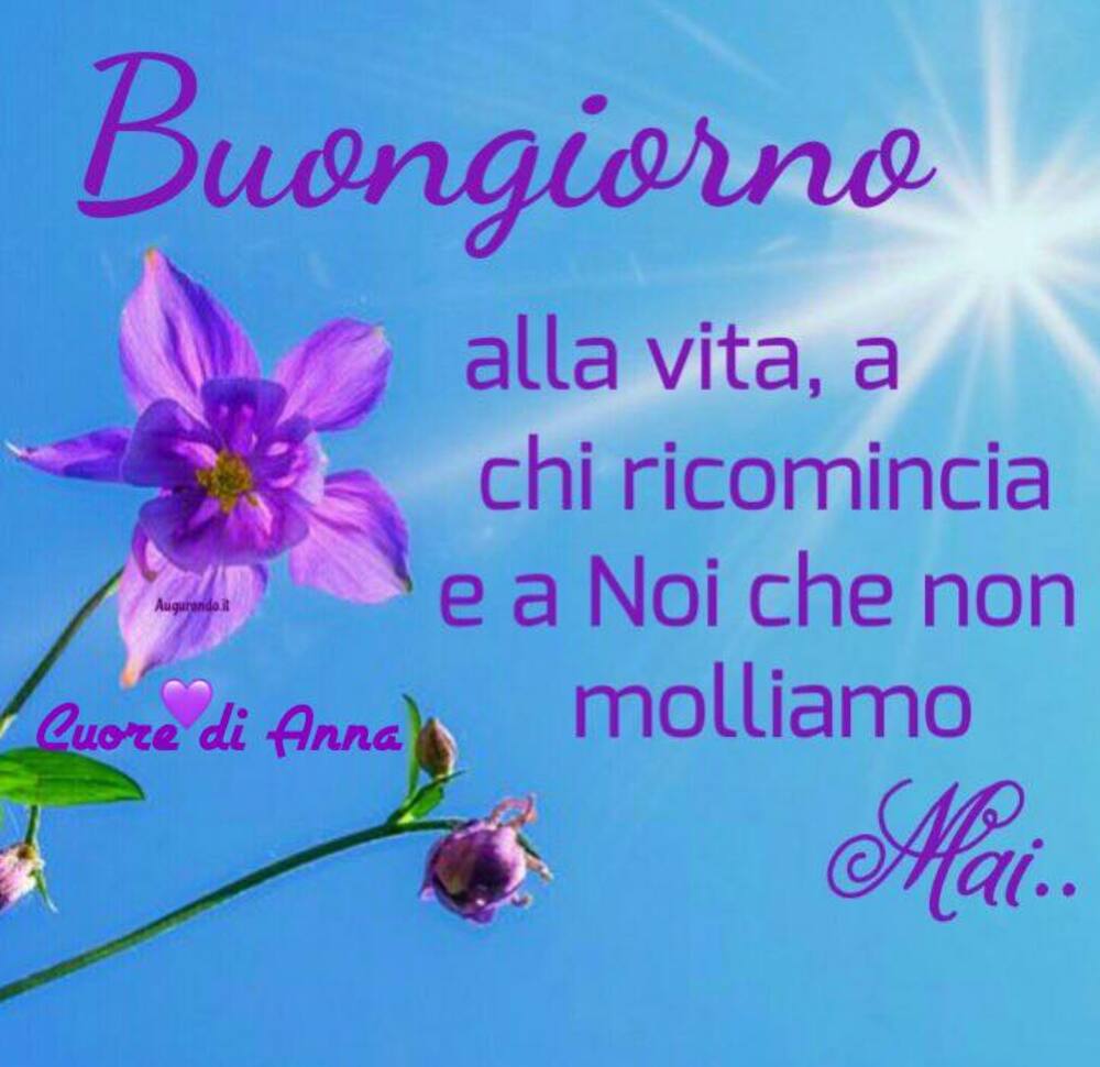 A tutti quelli che mi vogliono bene buongiorno 8