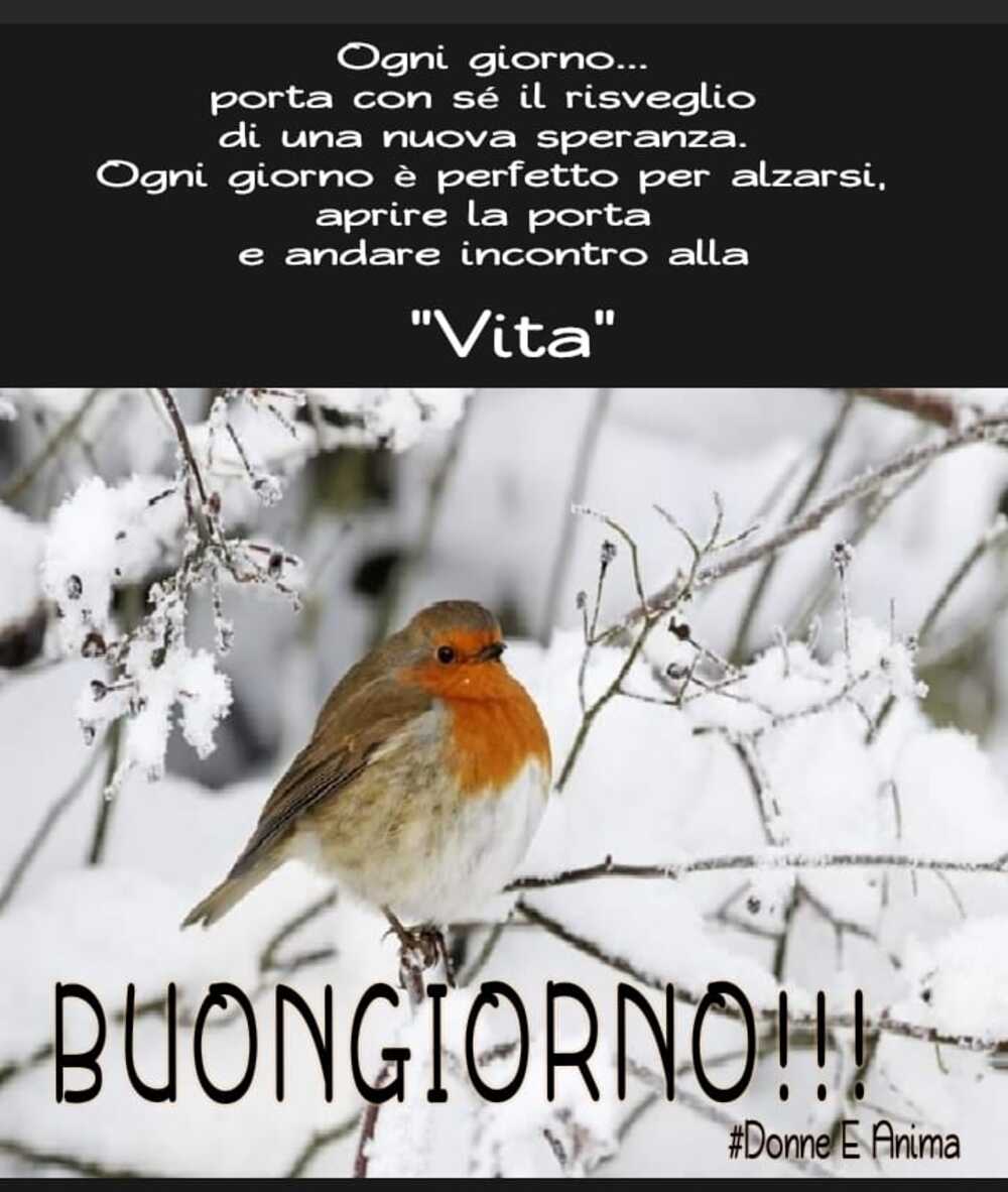 Buongiorno link invernali