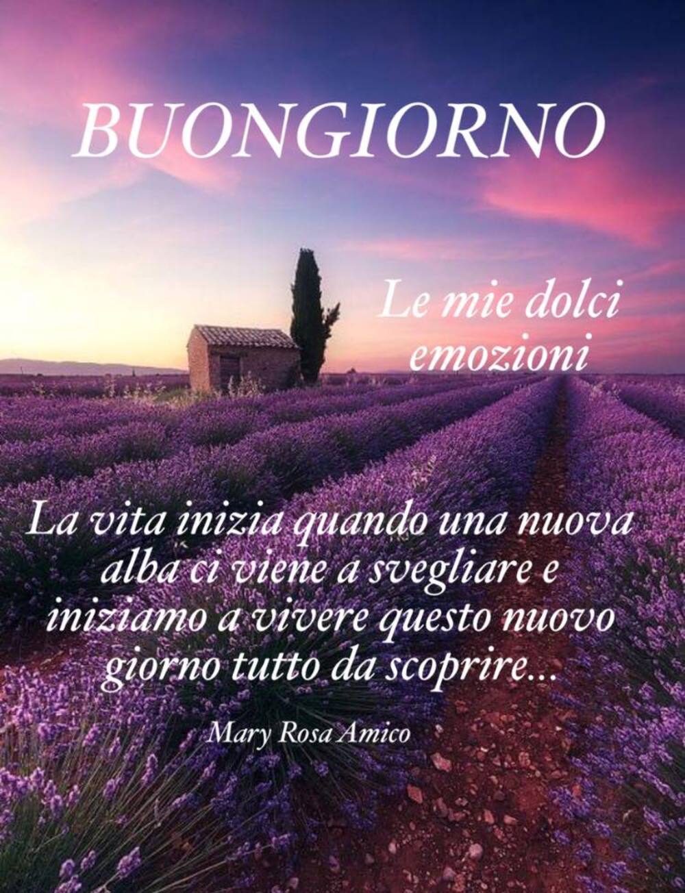 Buongiorno link primaverili (3)