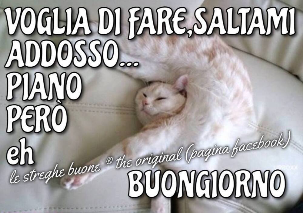 Buongiorno nuove 1