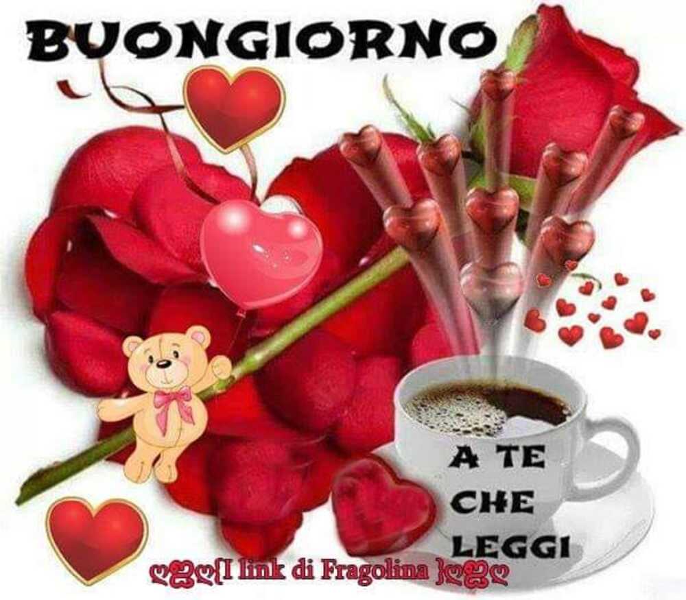 Buongiorno nuove 6