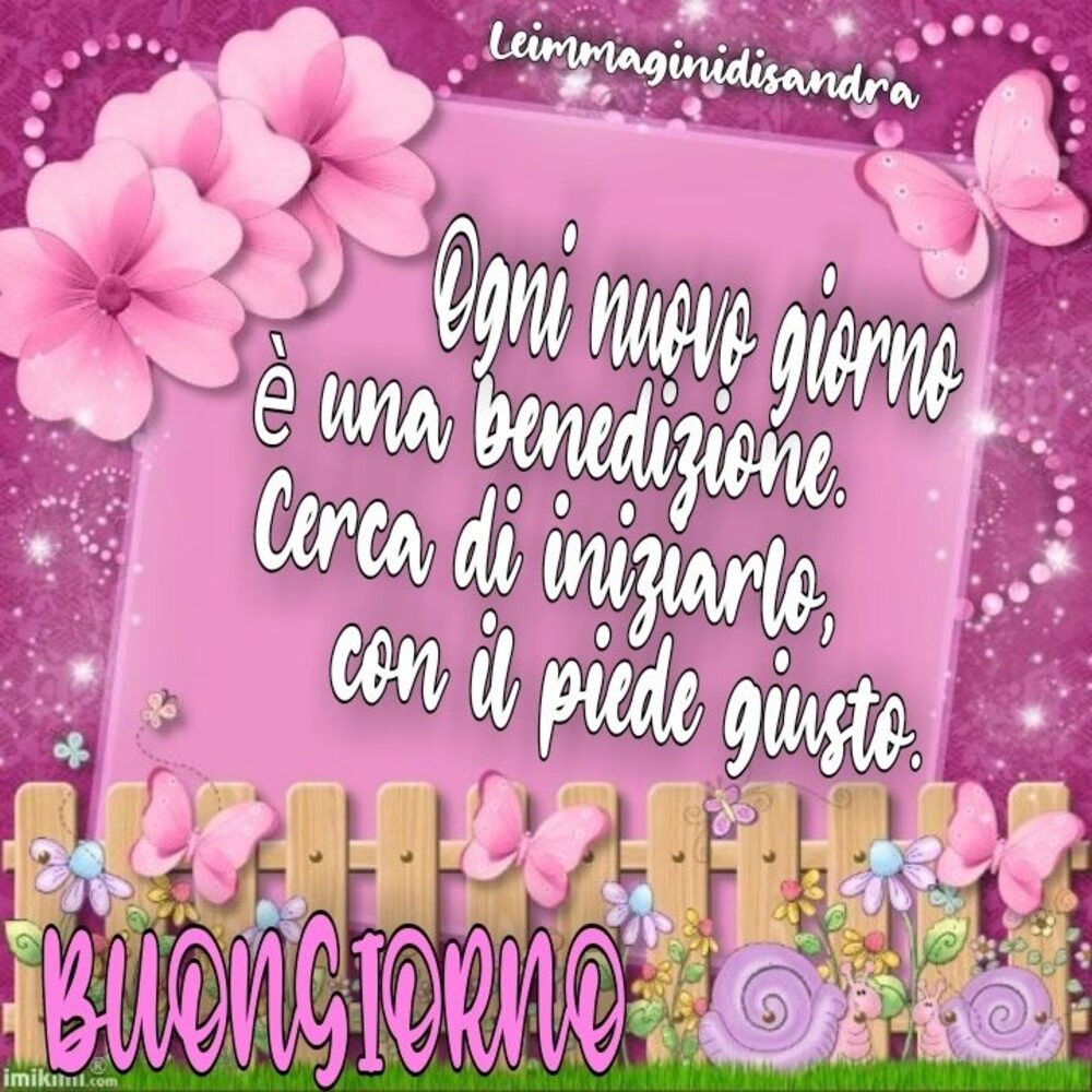 Buongiorno nuove 9