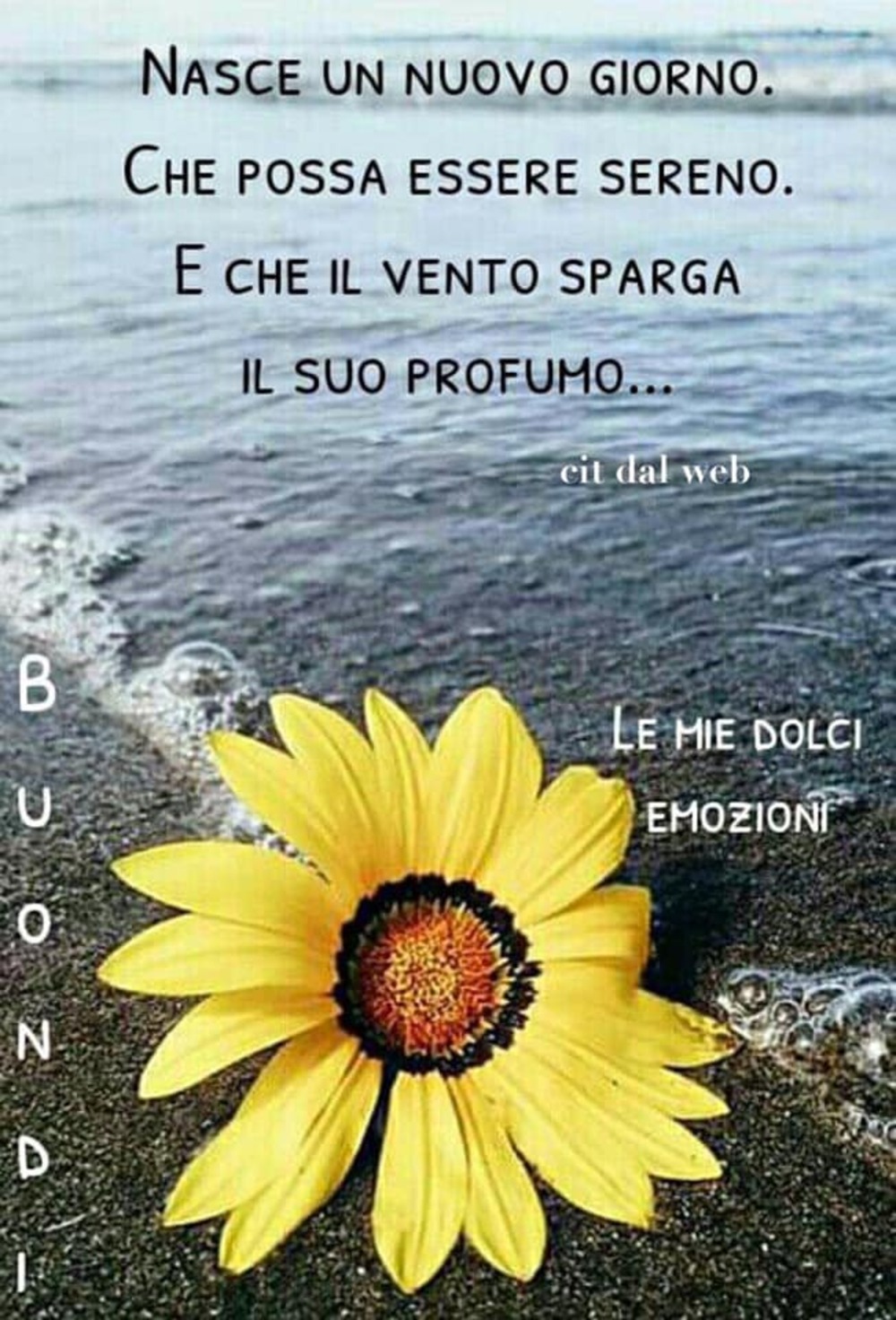 Frasi nuovissime per dire buon giorno amici (6)