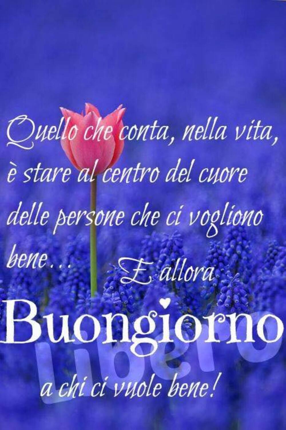 Frasi nuovissime per dire buon giorno amici (7)