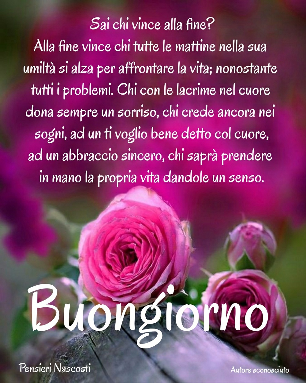 Frasi nuovissime per dire buon giorno amici (8)