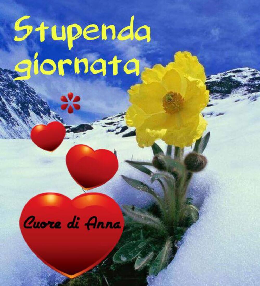 Stupenda giornata