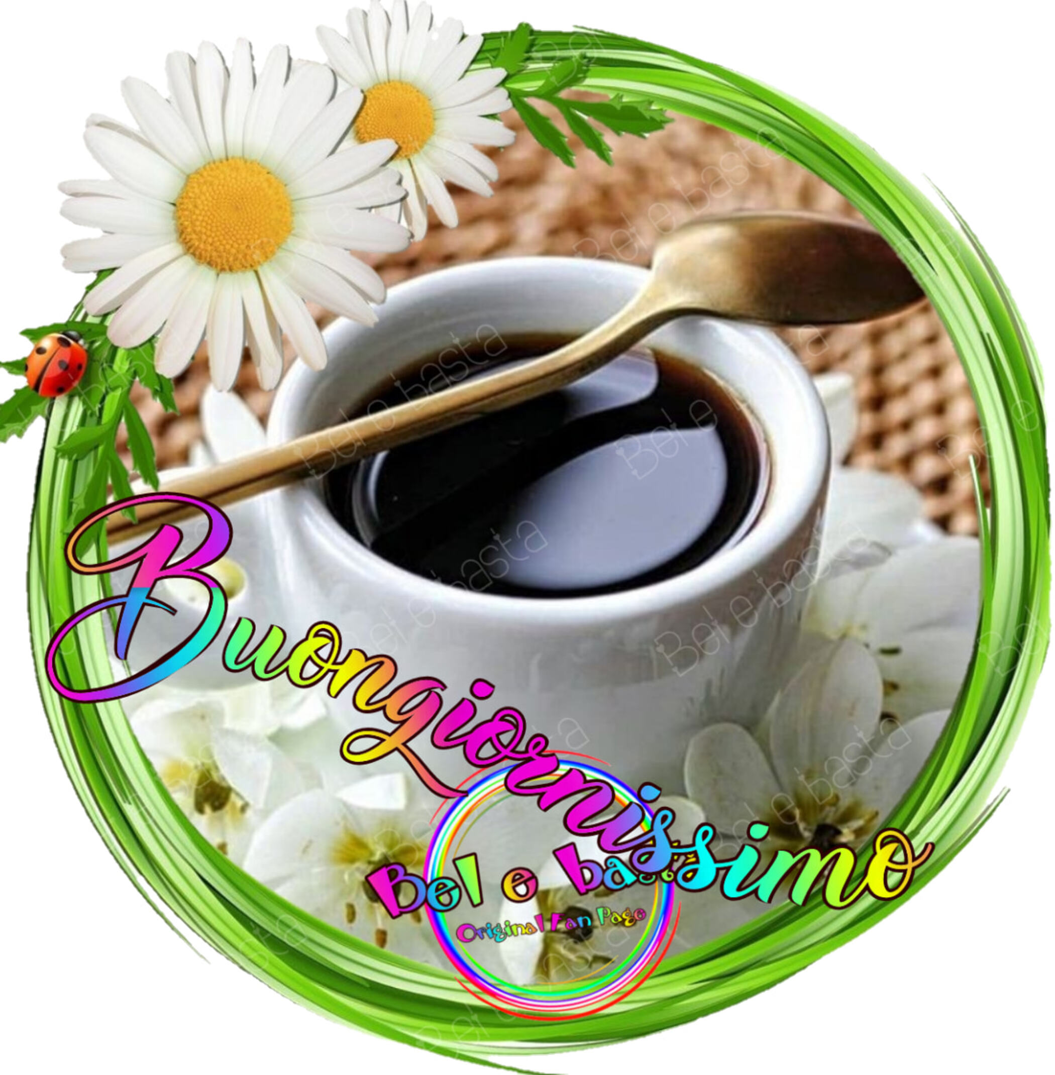 Buongiornissimo immagini link nuovi