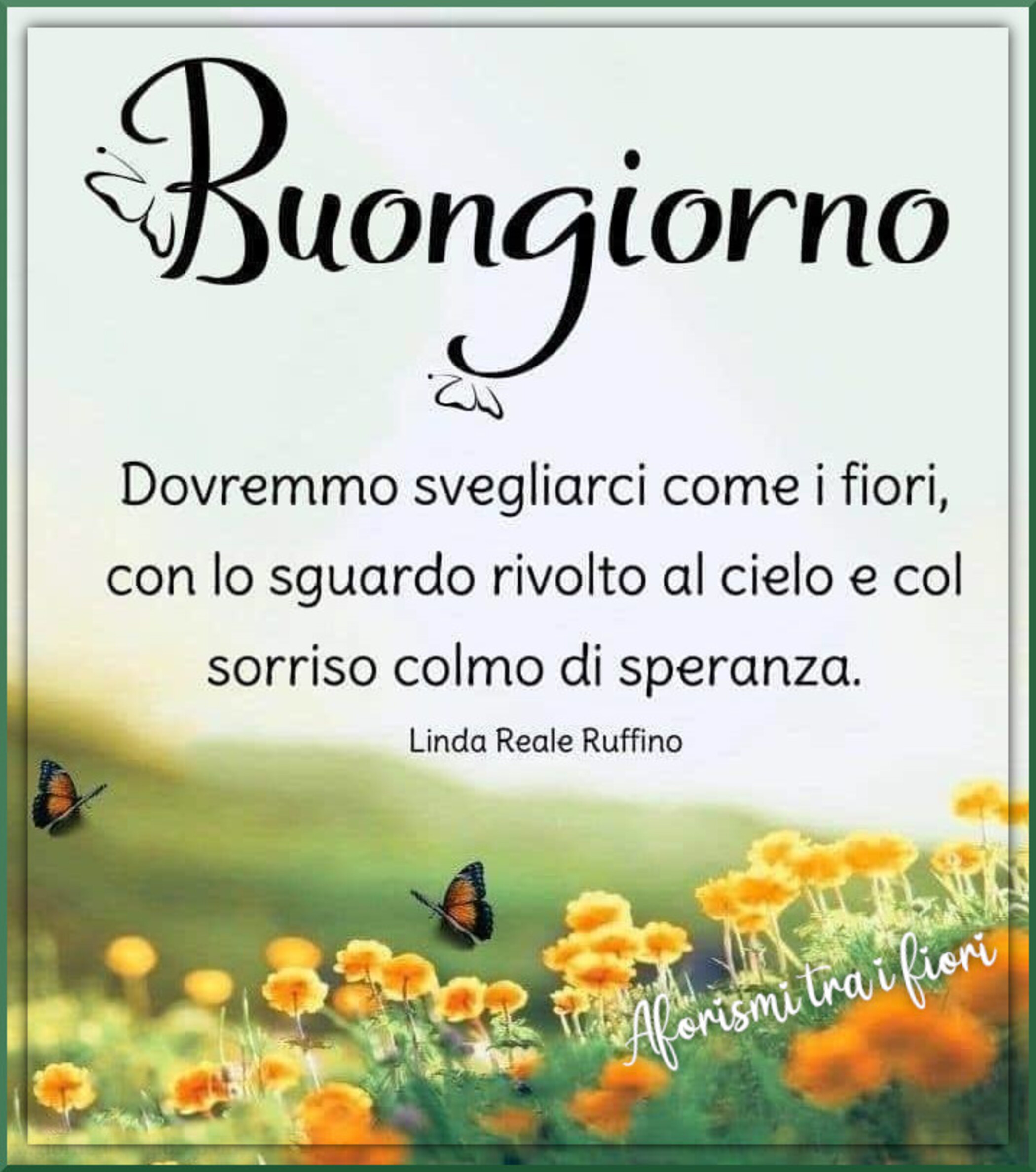 Buongiorno dovremmo svegliarci come i fiori con lo sguardo rivolto al cielo