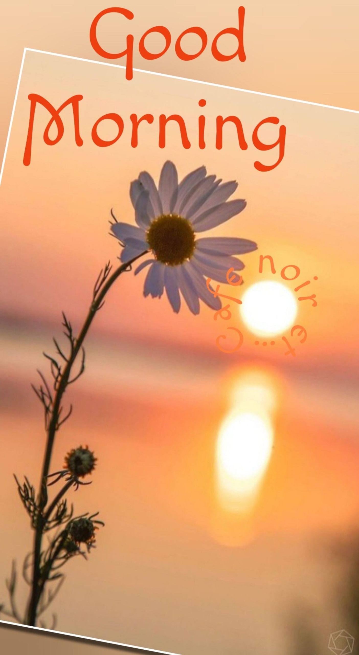 Good Morning link nuovi per WhatsApp