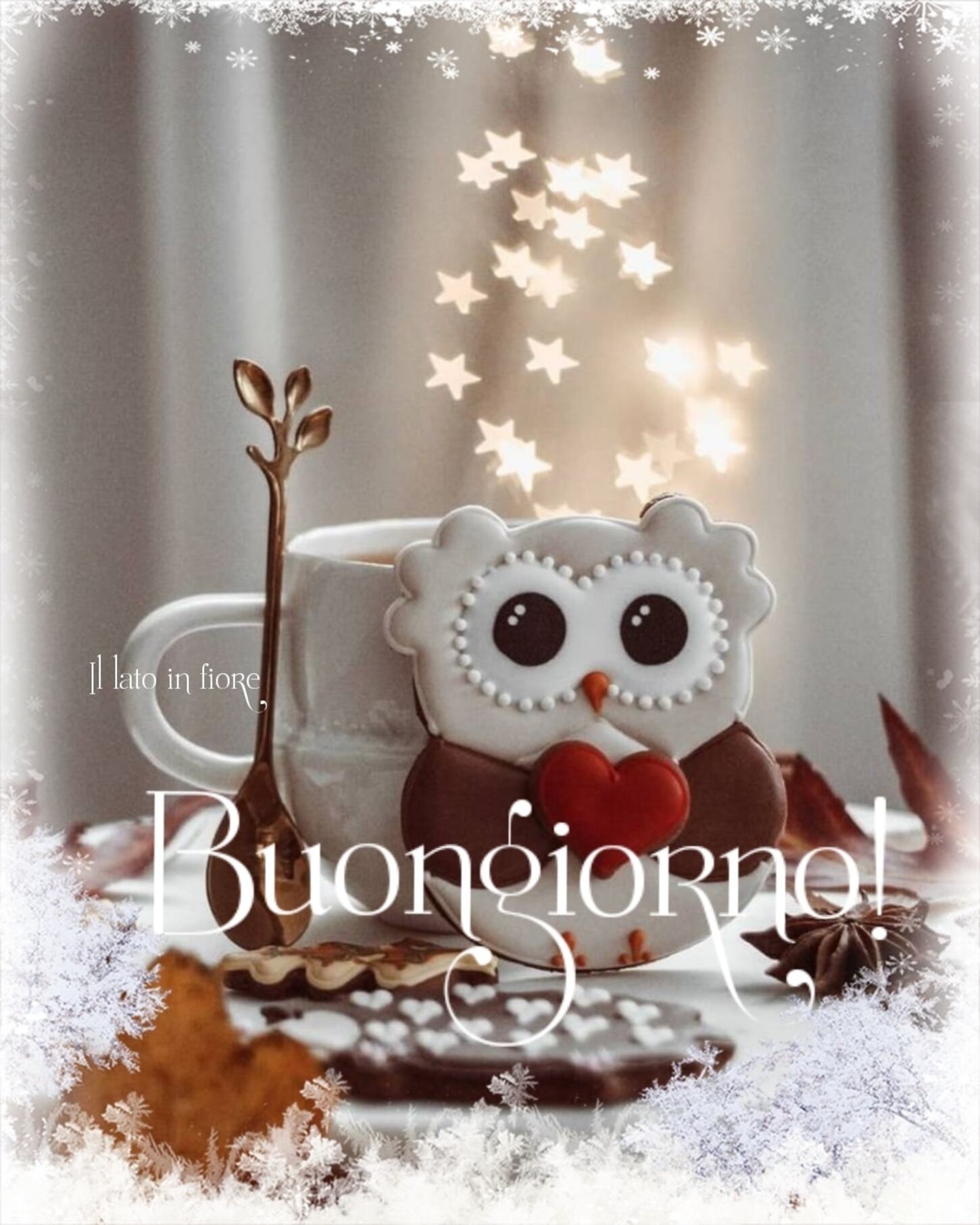 Buongiorno gufo Natale