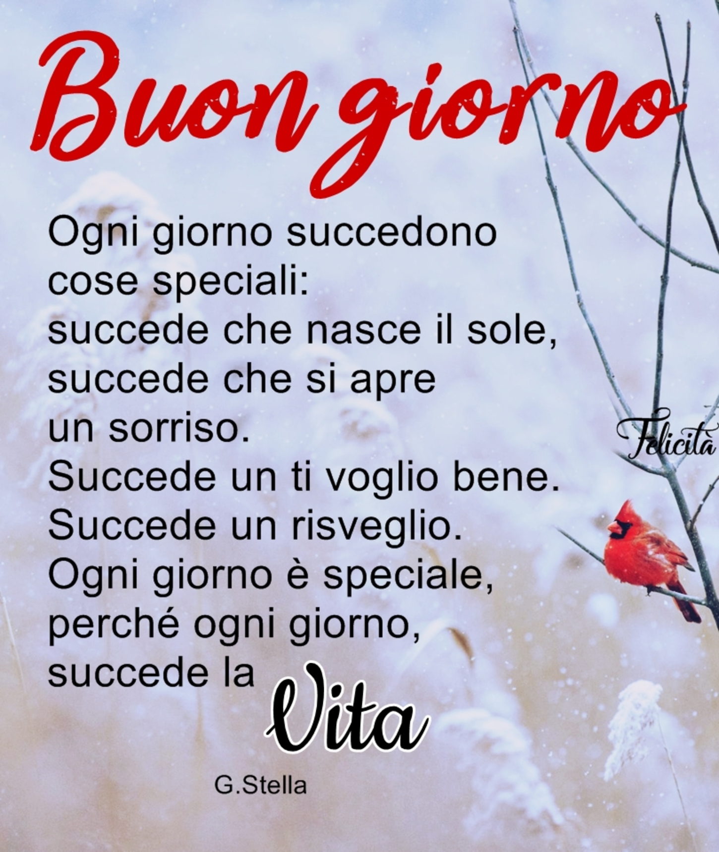 Frasi per augurare buongiorno a Natale (5)