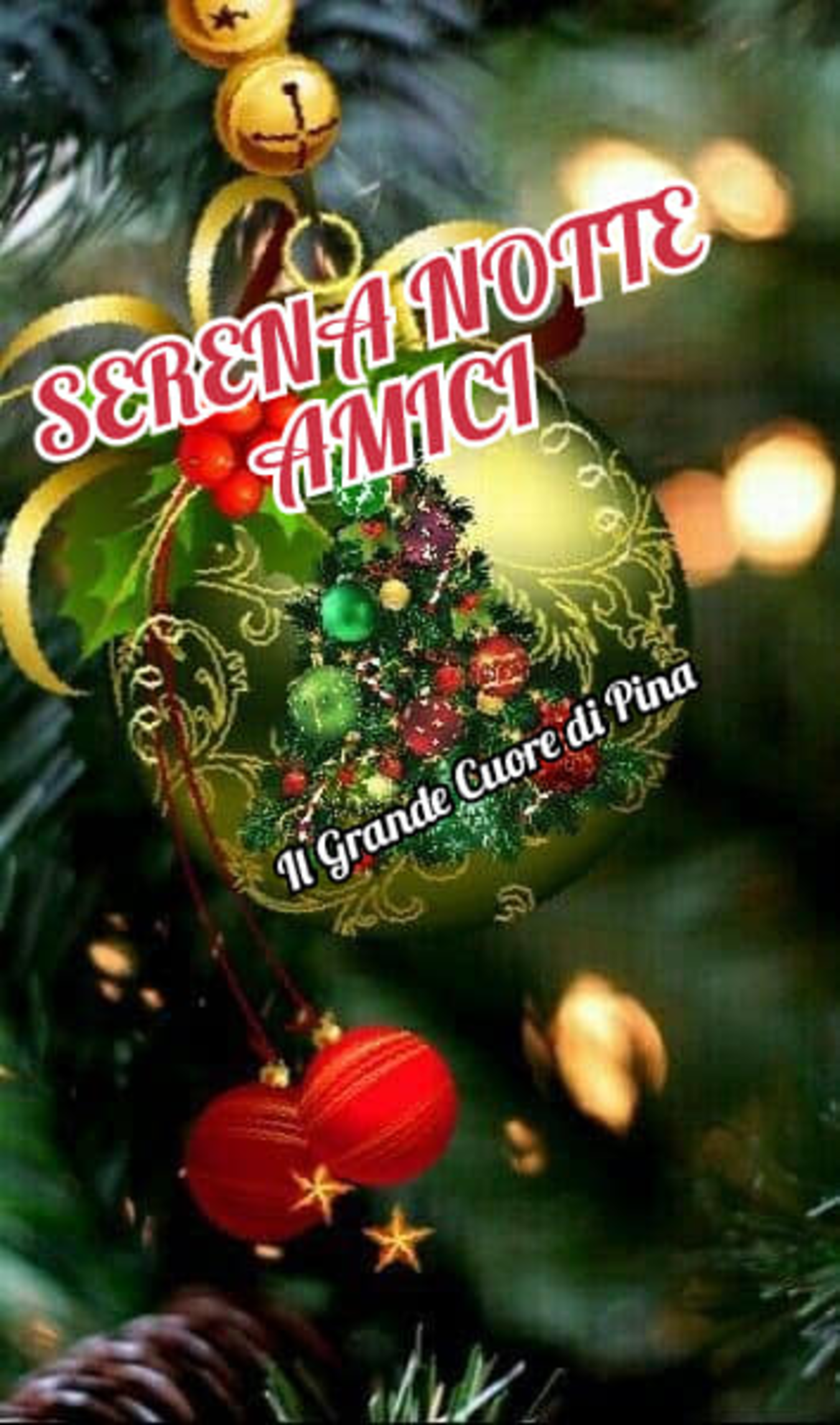 Natale serena notte amici