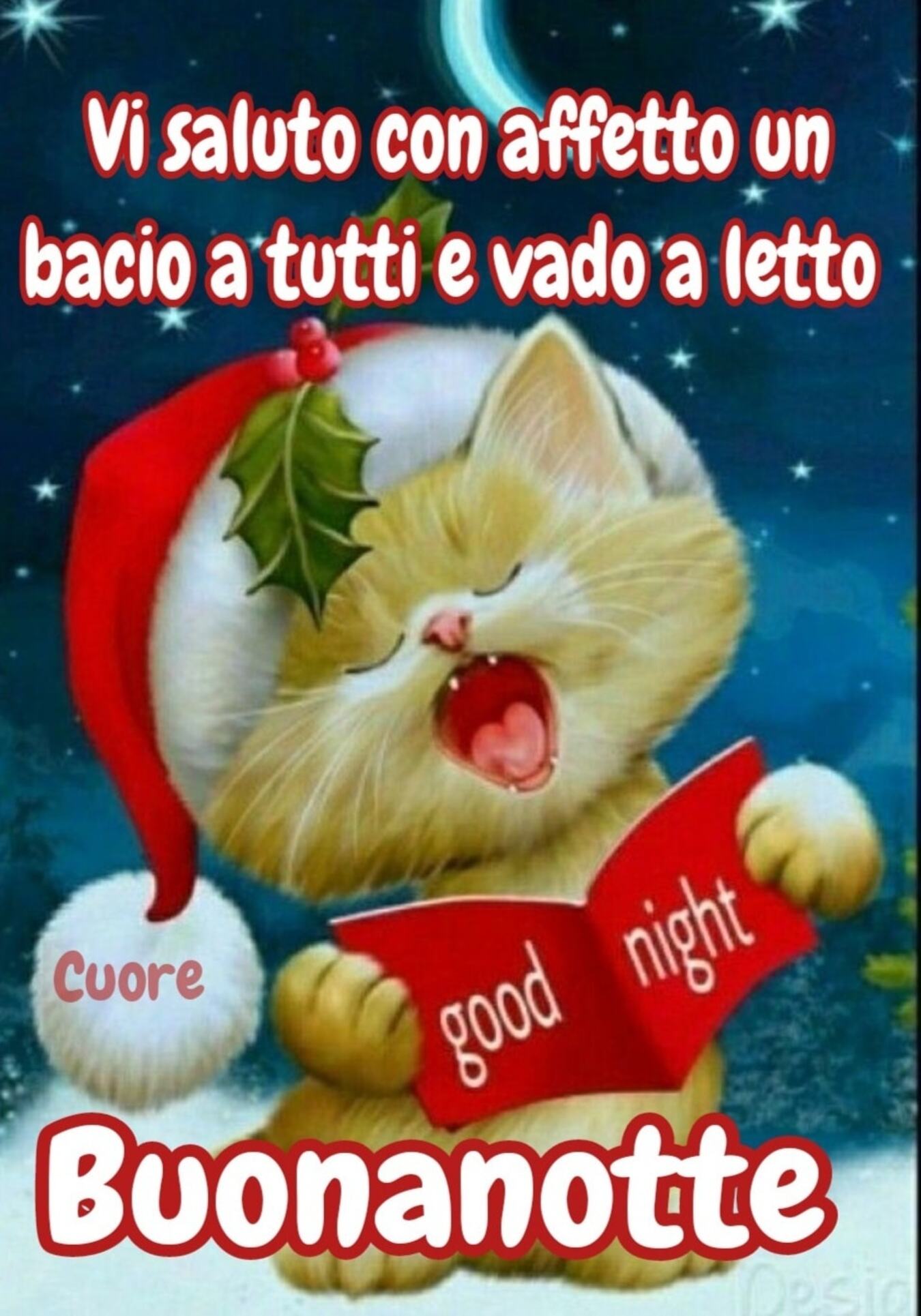 Vi saluto con affetto un bacio e vado a letto Natale