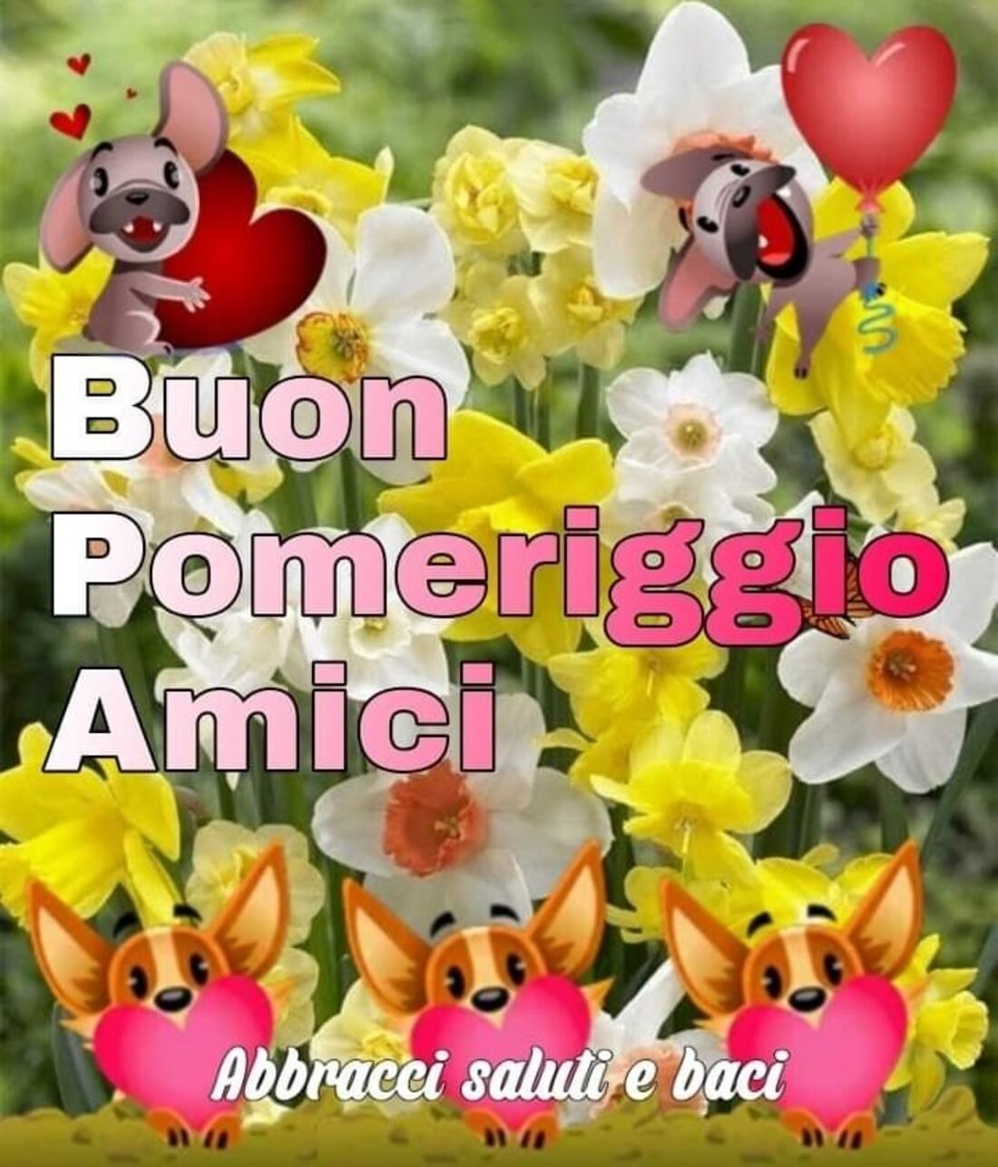 Buon Pomeriggio Amici con i cagnolini di Facebook