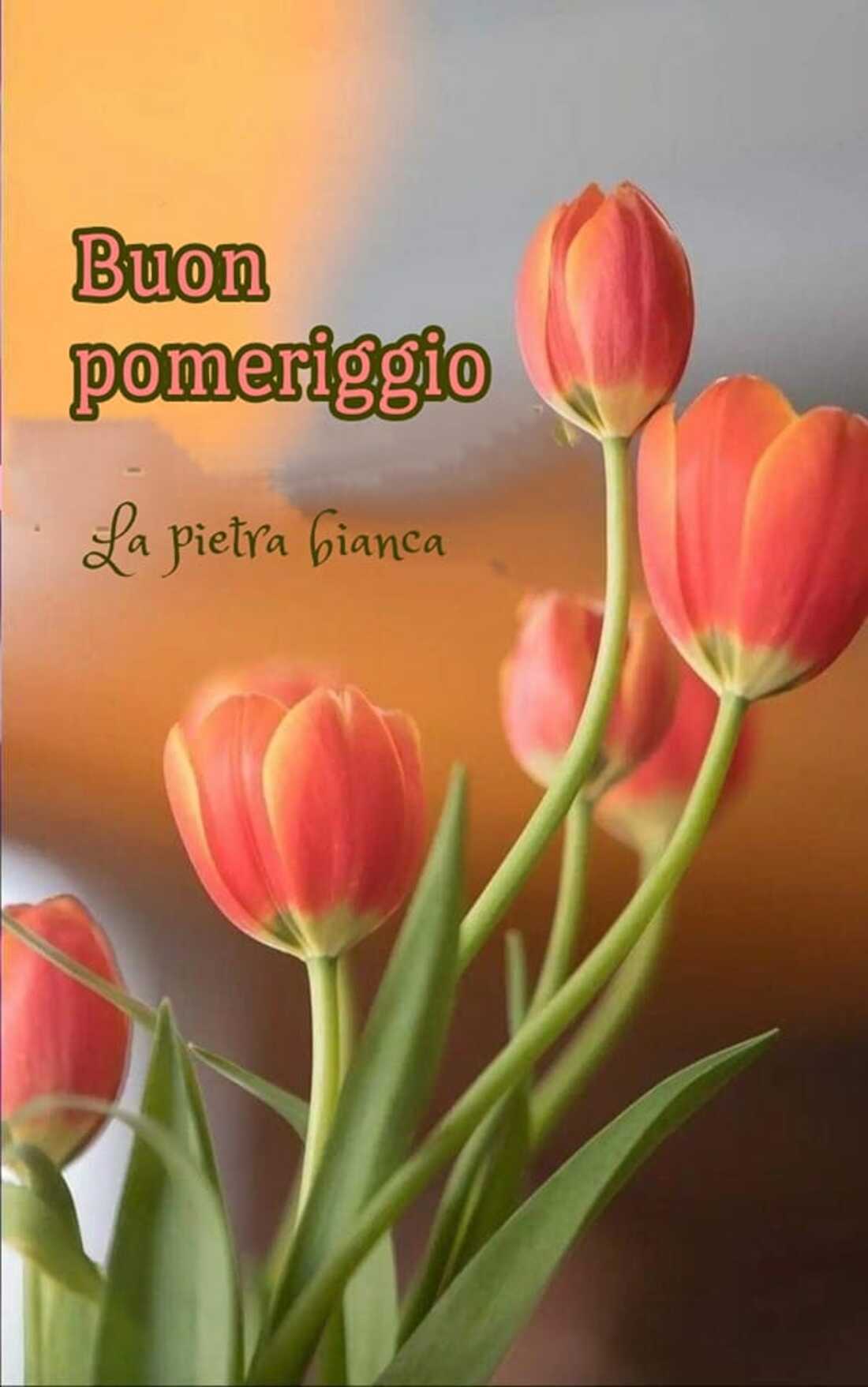 Buon Pomeriggio link nuovi con i tulipani