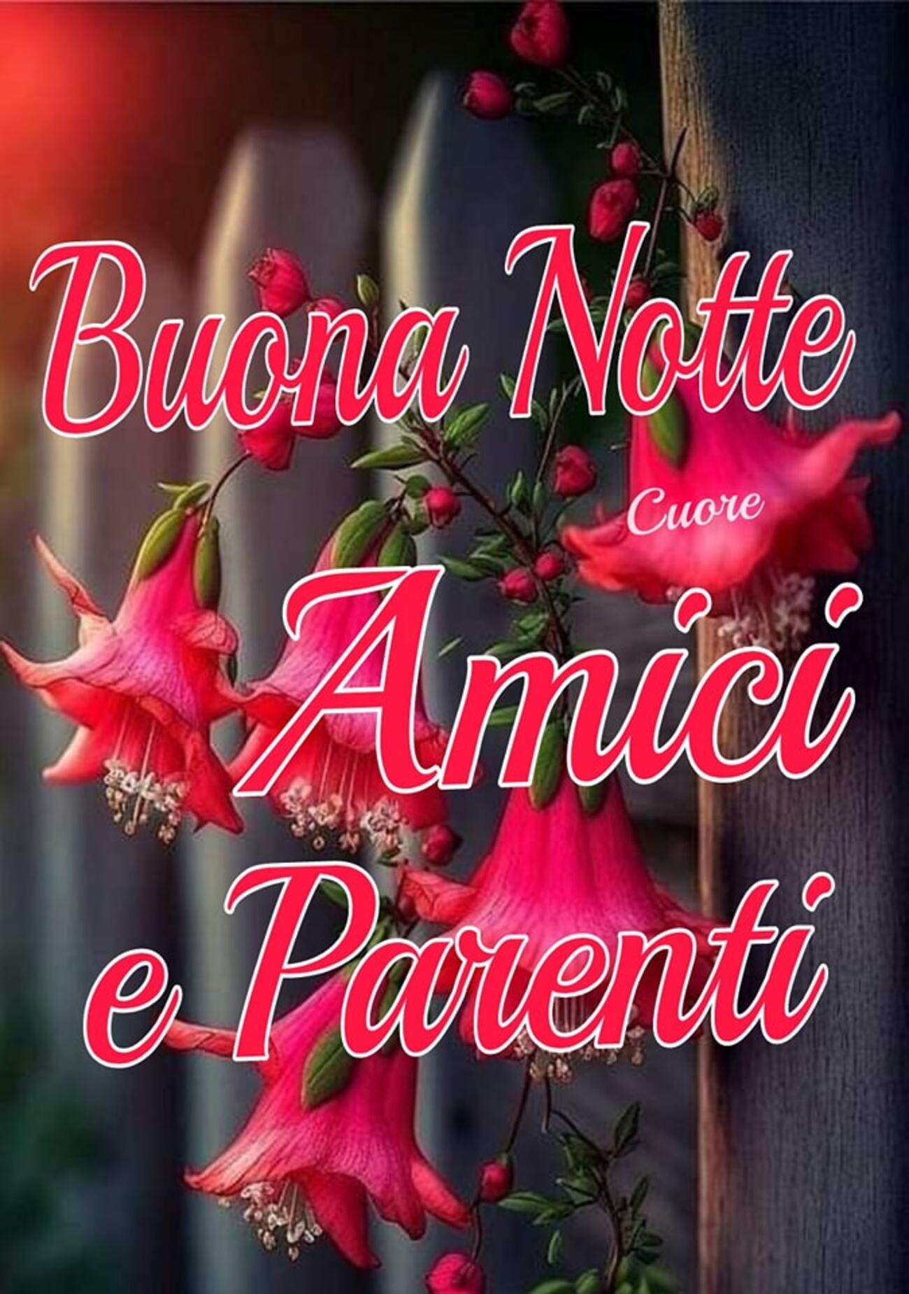 Buona Notte Amici e Parenti