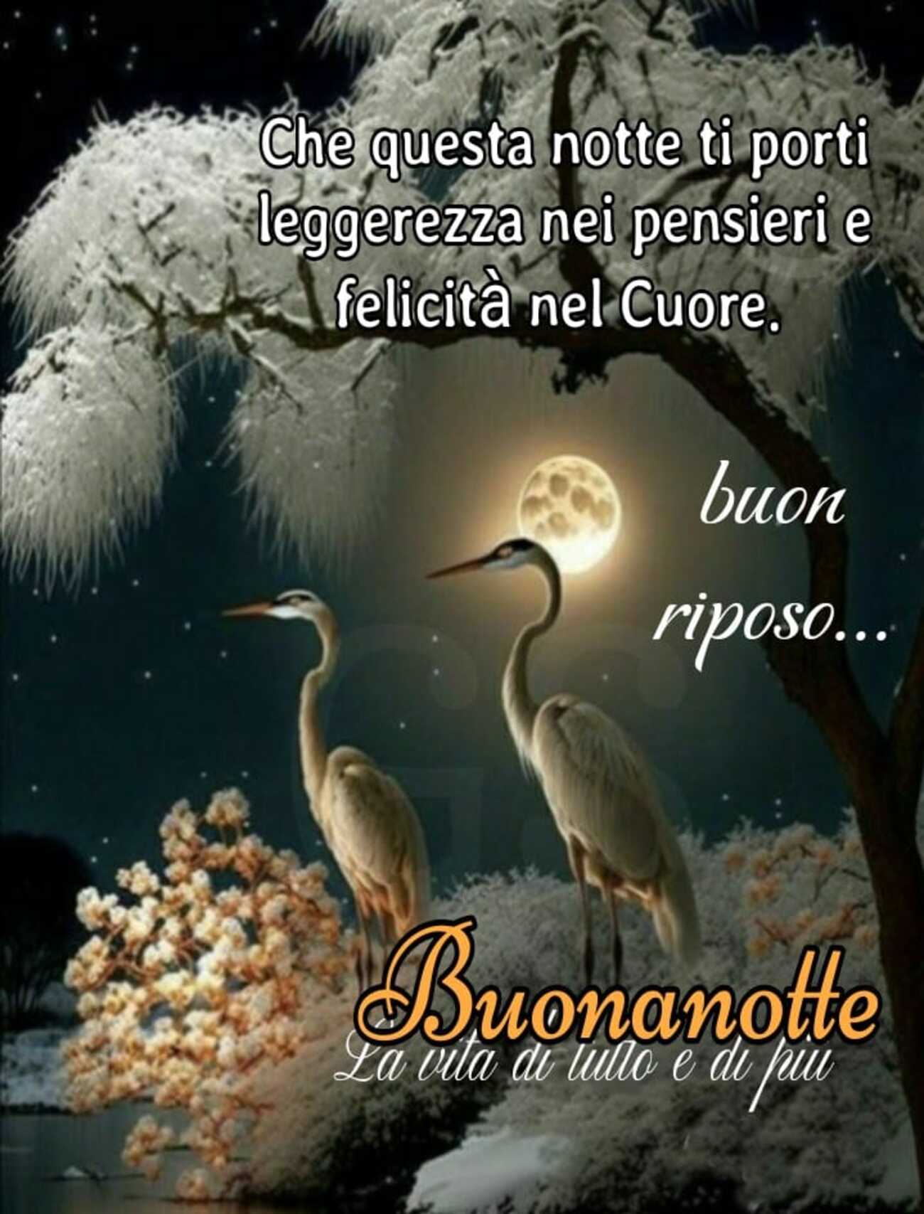 Che questa notte ti porti leggerezza nei pensieri buon riposo