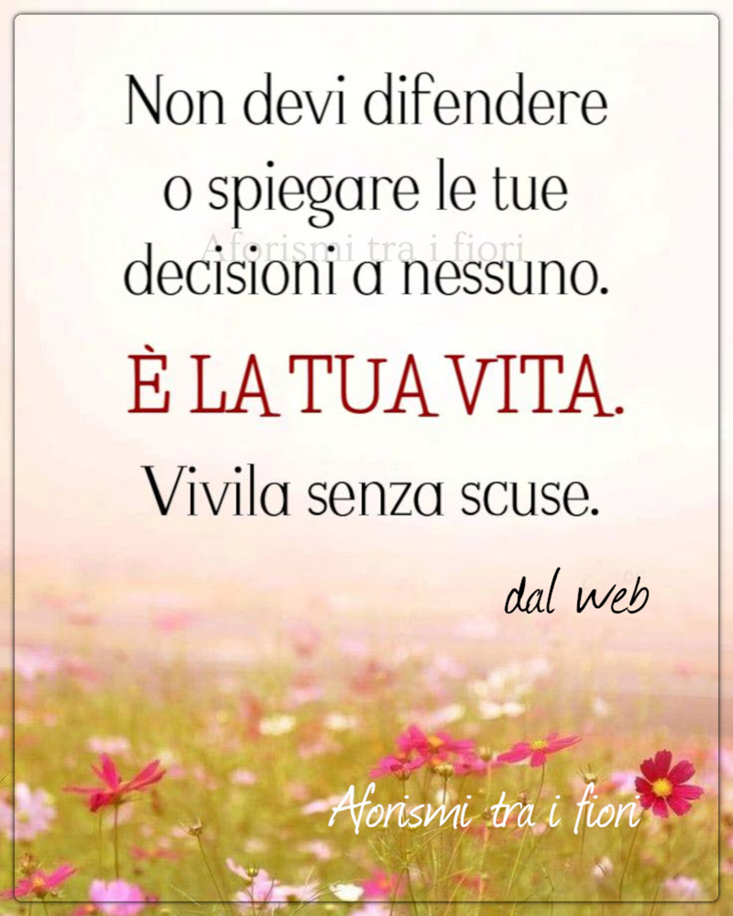 Non devi difendere o spiegare le tue decisioni a nessuno è la tua vita