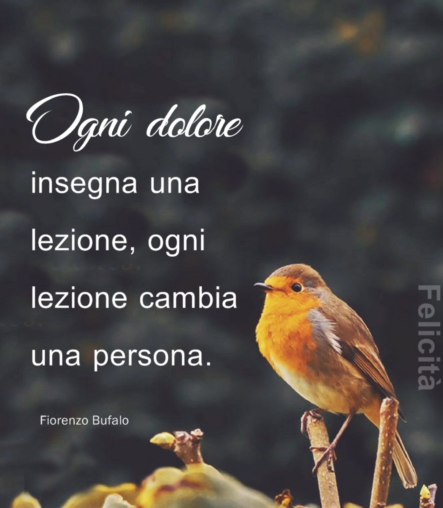 Ogni dolore insegna una lezione ogni lezione cambia una persona Fiorenzo Bufalo