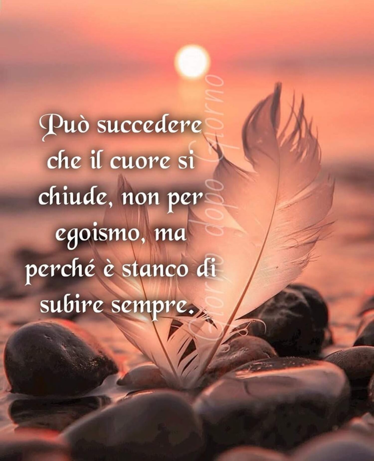 Può succedere che il cuore si chiude non per egoismo ma perché è stanco di subire sempre