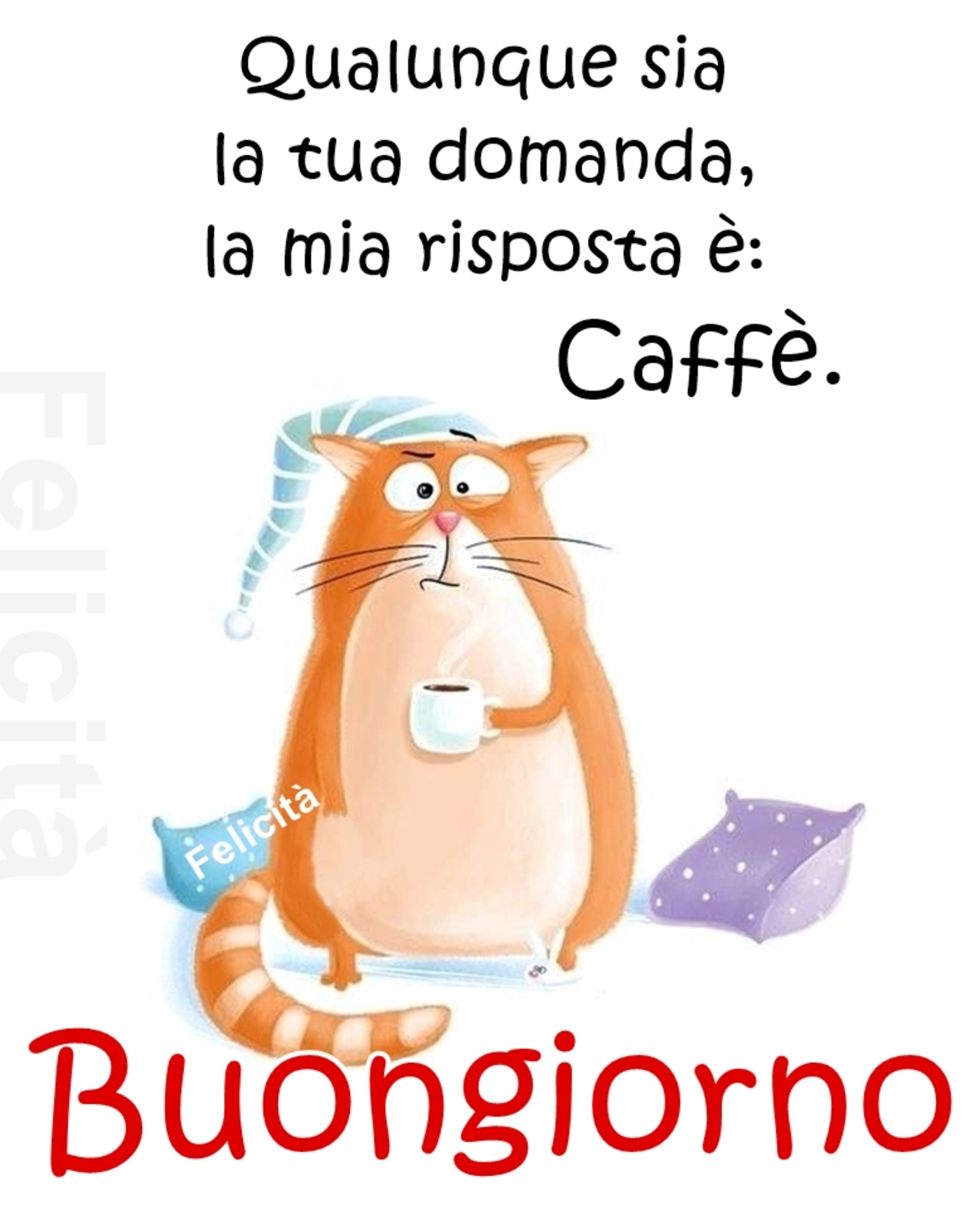 Qualunque sia la tua domanda la mia risposta è caffè Buongiorno