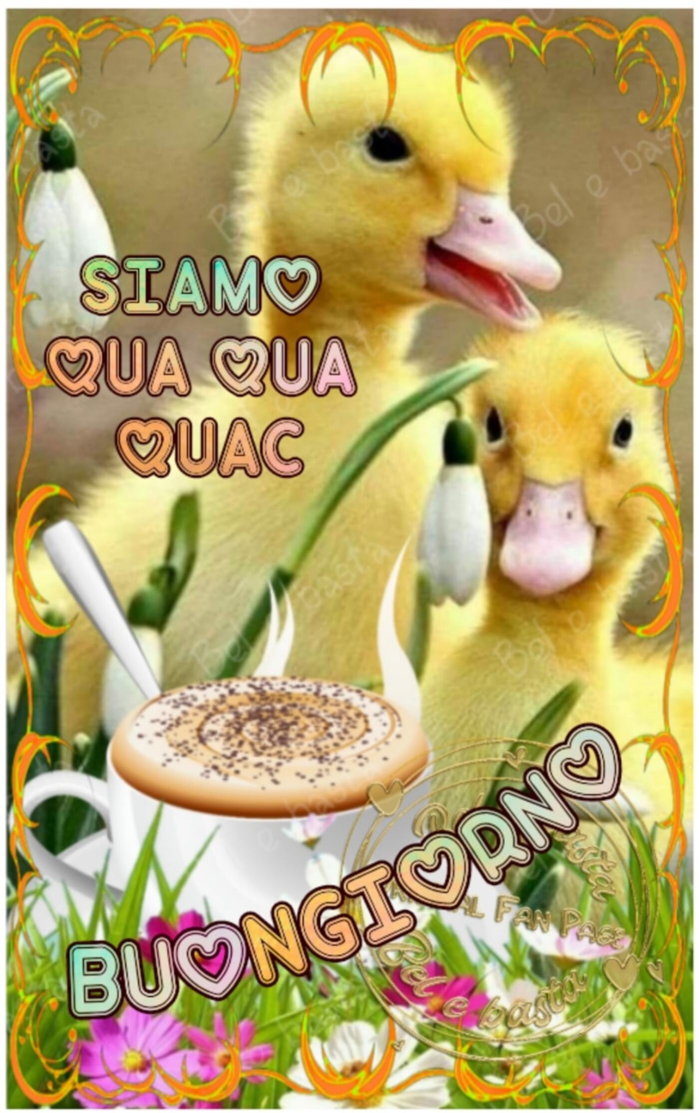 Siamo qua qua quac buongiorno