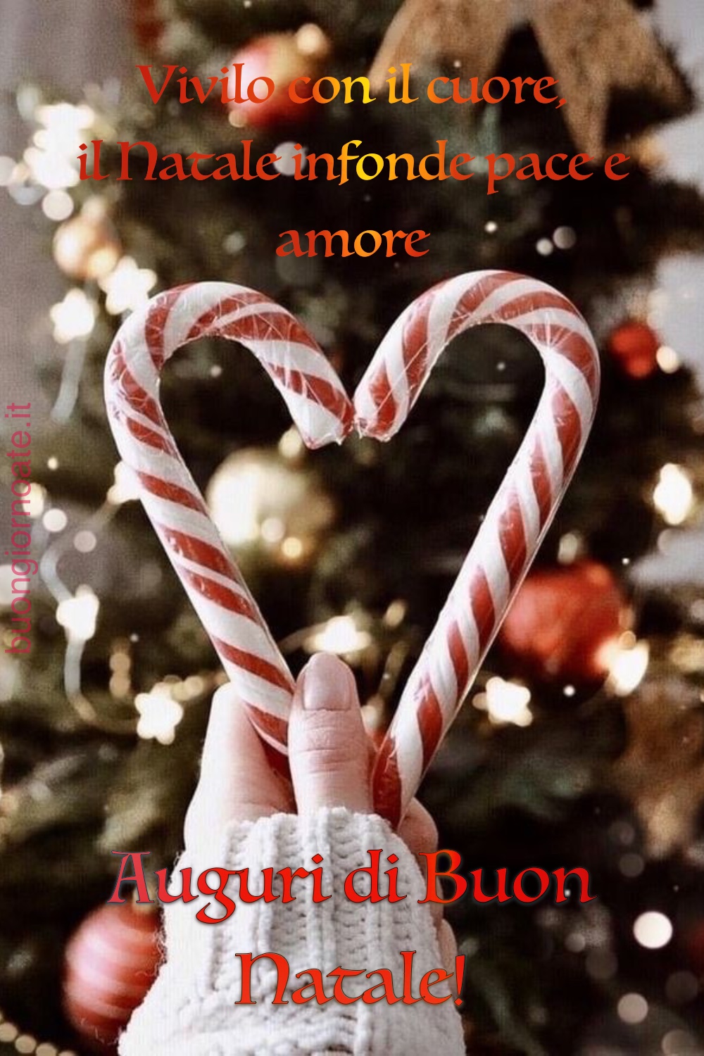 Natale con il cuore