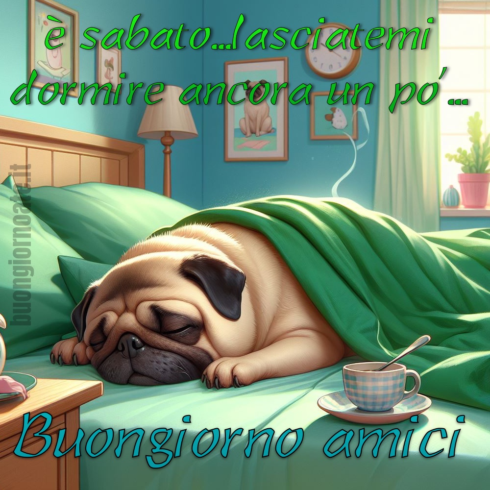 Buongiorno e buon sabato amici